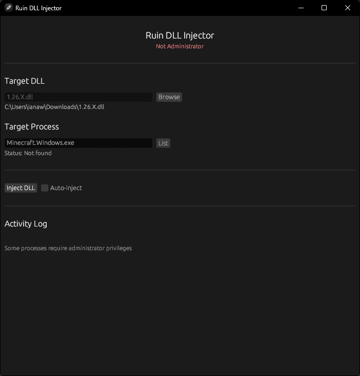 Ruin DLL Injector Application Interface